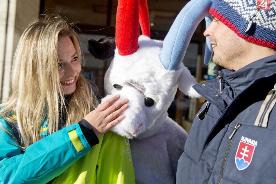 Ilustračný obrázok k článku Medveď, netopier, lienka či haluška, kto bude maskotom Horehronia? Máte poslednú šancu zahlasovať!