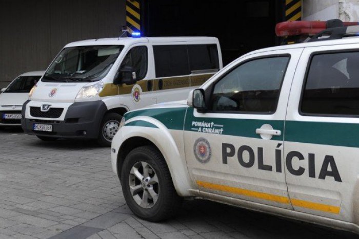 Ilustračný obrázok k článku Krádež, rozporciované teliatko či chýbajúci kus lesa: Aj s týmto sa pasovali rožňavskí policajti