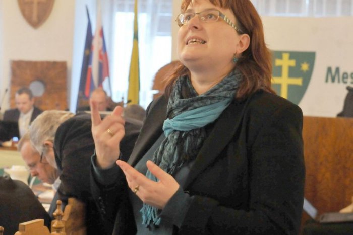 Ilustračný obrázok k článku Zaujímavosť počas rokovaní žilinského parlamentu: Na zasadnutiach je v akcii tlmočníčka