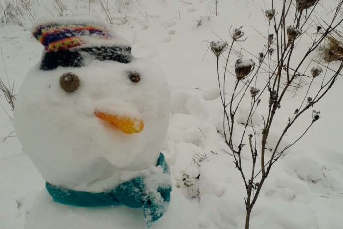 Ilustračný obrázok k článku Nitrania si užívajú snehovú nádielku: TAKÝCHTO krásavcov vytvorili!