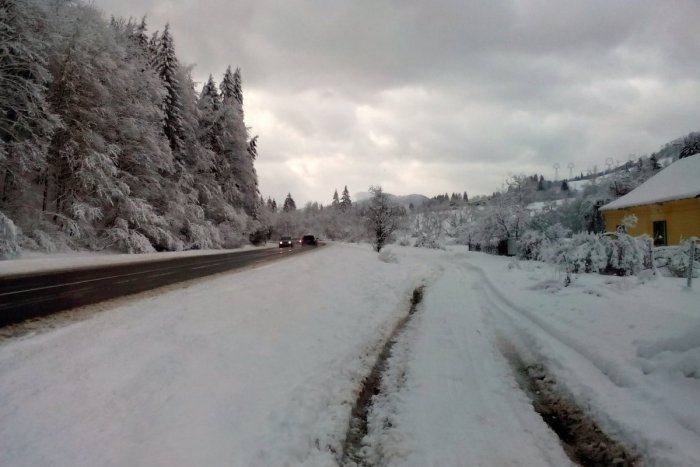 Ilustračný obrázok k článku Dvaja zranení pri nehode na Podsuchej. Poľský vodič mal šťastie, konáre neprerazili kapotu