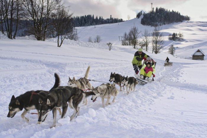 Ilustračný obrázok k článku Preteky na Šachtičkách odhalili lákadlá: Diváci uvidia aj psí záprah dlhý ako kamión