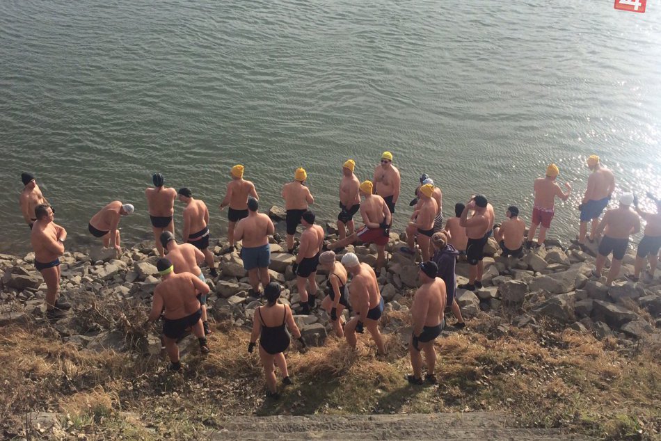 Ilustračný obrázok k článku V studených vodách Dunaja predviedli svoju odvahu Ľadové medvede