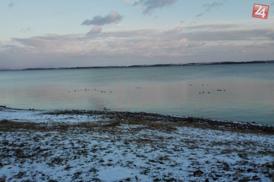 Ilustračný obrázok k článku Nemilé prekvapenie pri Zemplínskej šírave, FOTO