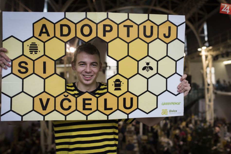 Ilustračný obrázok k článku Dobrovoľník Greenpeace v Bratislave: "Dobrovoľníctvo nie je súčasťou životnej rovnice"