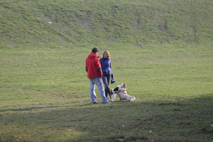 Ilustračný obrázok k článku Schválený územný plán zóny ochráni zeleň v Ružinove. Centrálna časť Trnávky má konečne jasné pravidlá výstavby