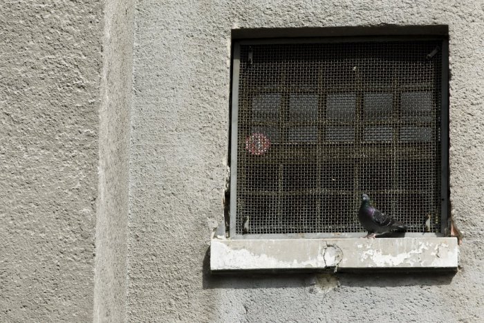 Ilustračný obrázok k článku Známi slovenskí vrahovia nebudú môcť voliť