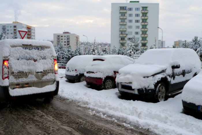 Ilustračný obrázok k článku Nemilo prekvapený poslanec: Psie exkrementy sa v Sásovej dajú vidieť takmer na každom kroku!