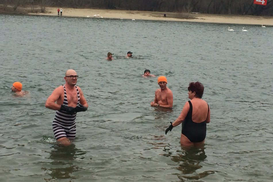 Ilustračný obrázok k článku Stretnutie otužilcov v Šali: Do Váhu skočili ľadové medvede! + FOTO