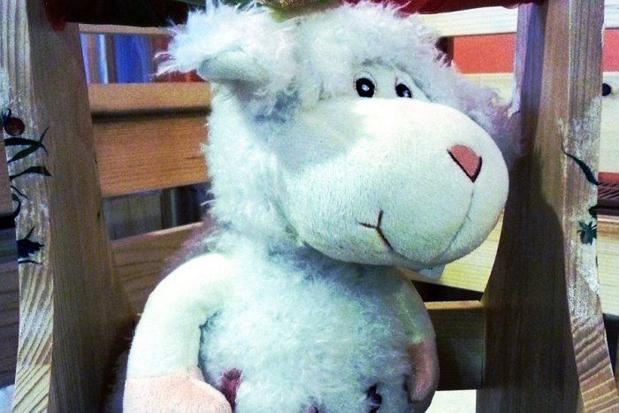 Ilustračný obrázok k článku Rožňavčania v súťaži na Facebooku rozhodli: Aha, aké meno vybrali pre maskota Veselej Farmy!