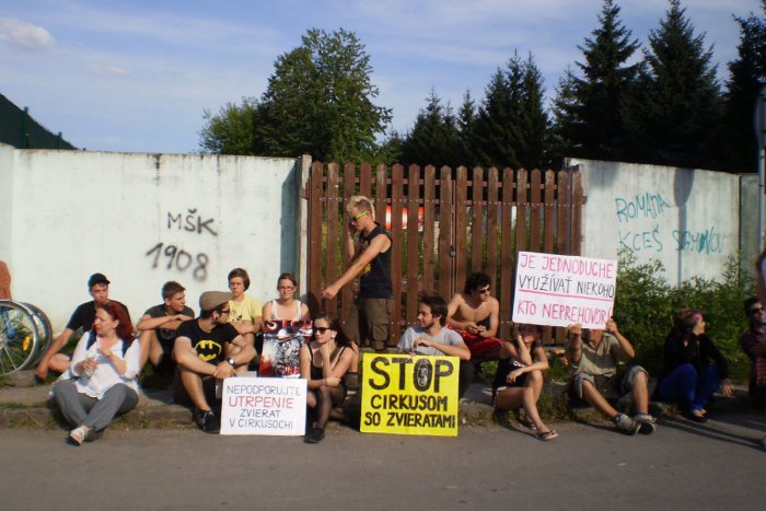 Ilustračný obrázok k článku Mesto sa rozhodlo pre rázny krok: Novinka zo Žiliny cirkusantov nepoteší, o čo ide?!