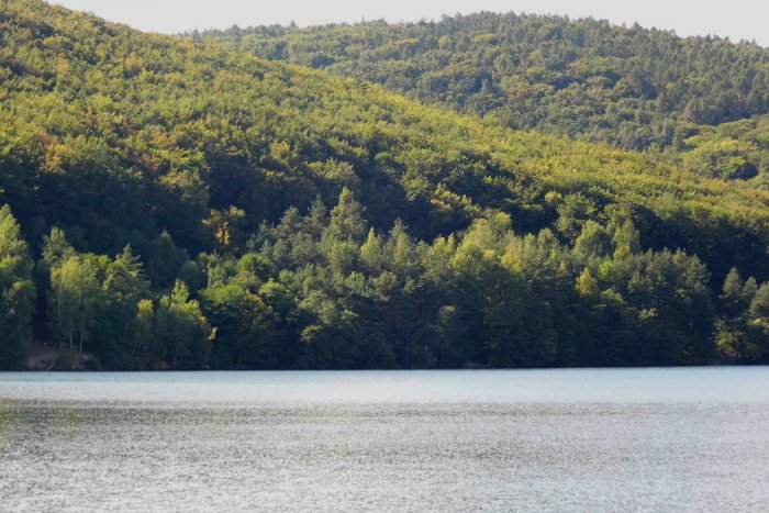 Ilustračný obrázok k článku Lesný duch na Bukovci: Z rozprávania tohto Košičana vám stiahne brucho a zalejú slzy od smiechu :) VIDEO