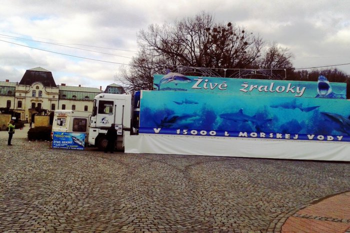 Ilustračný obrázok k článku Mobilné akvárium na humenskom námestí: Živé žraloky môžete vidieť zblízka