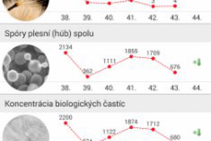 Ilustračný obrázok k článku Majte svoju alergiu neustále pod kontrolou vďaka mobilnej aplikácii od ZDRAVIE.sk