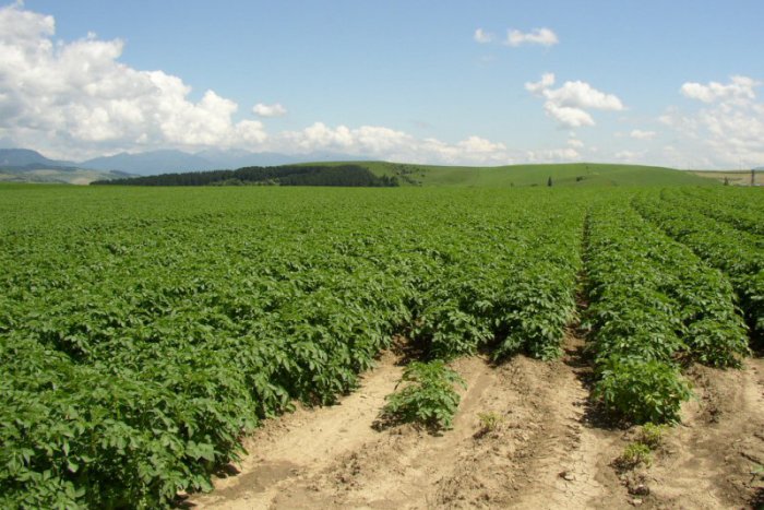 Ilustračný obrázok k článku Liptáci kritizujú rapídne zníženie podpory pre znevýhodnené oblasti