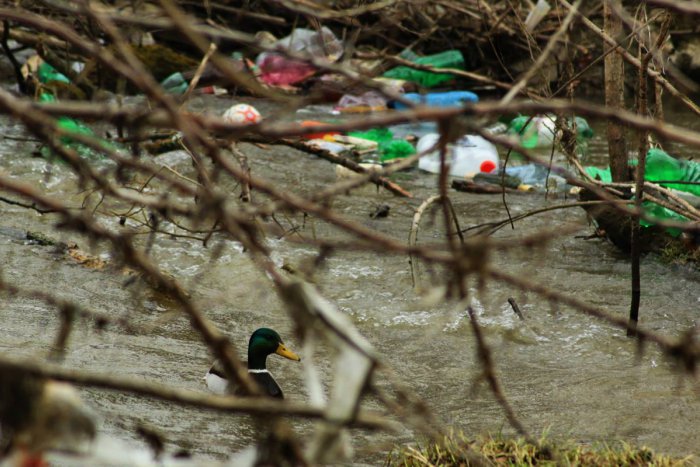 Ilustračný obrázok k článku Z tohto až chytá depka: Zábery zo Spišskej, ktoré vám zaručene skazia jarnú náladu!