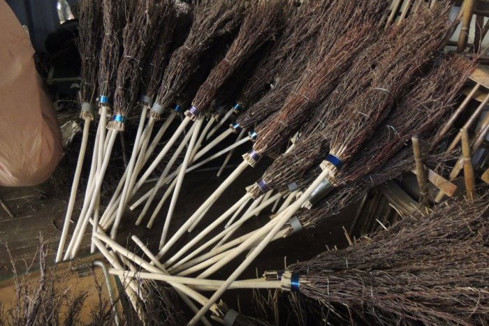 Ilustračný obrázok k článku ROZHOVOR s Petrou Černockou: Spomínate si na legendárnu Saxanu a na úvodnú pieseň z filmu Dívka na košteti? Kto je interpretka tejto piesne?