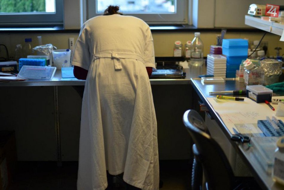 Ilustračný obrázok k článku Zlodej vedel, čo je cenné: Aha, čo zmizlo zo skrine košickej univerzity!