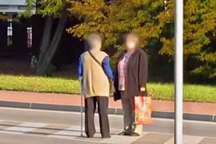 Ilustračný obrázok k článku Kuriózna situácia na ceste: Babky debatovali uprostred rušnej dvojprúdovky!