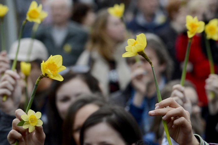 Ilustračný obrázok k článku V Prešove zažijeme niečo, čo sme tu ešte nemali: Po sídlisku Sekčov sa bude bežať Narcisový beh