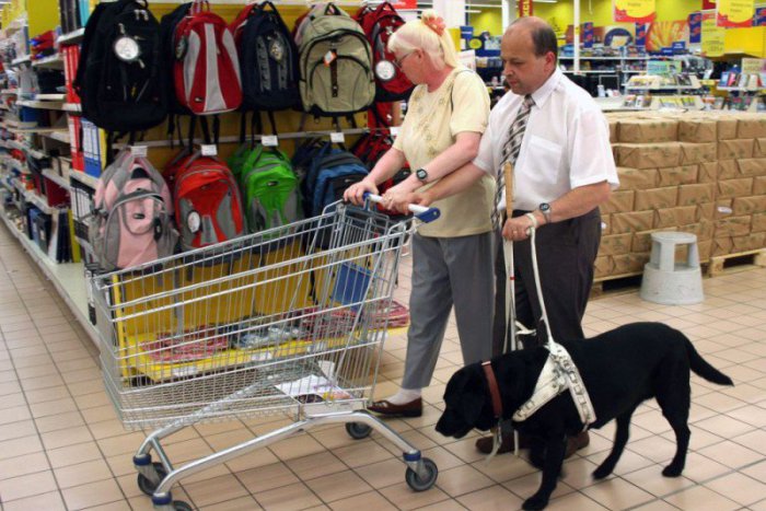 Ilustračný obrázok k článku Štvornohé oči s historicky najvyšším výnosom