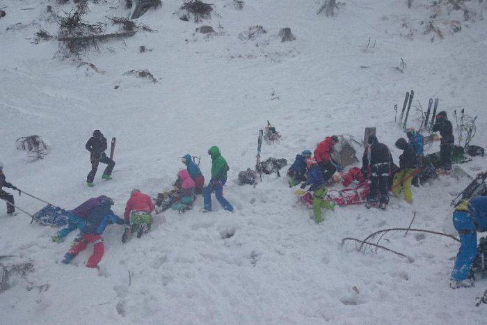 Ilustračný obrázok k článku OBRAZOM: Počasie sa dnes poriadne vybláznilo. Padajúci strom zavalil troch lyžiarov!