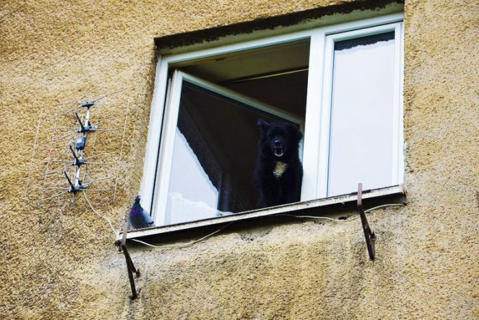 Ilustračný obrázok k článku Prvoaprílové zúčtovanie diania v Prešove: Pozor, výskyt humoru vo FOTO zaručený :)