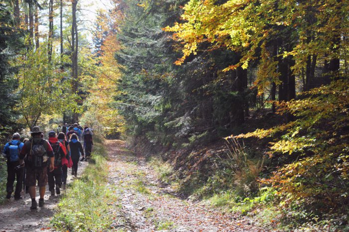 Ilustračný obrázok k článku Po zime si vychutnajte skvelý relax: 5 miest v Žiline a okolí, ktoré počas jari stoja za návštevu