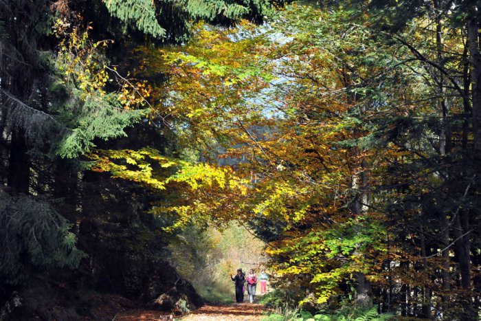 Ilustračný obrázok k článku Využite voľný čas v Mikuláši naplno: 3 tipy na najkrajšie prechádzky v meste