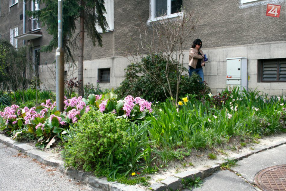 Ilustračný obrázok k článku Ukážte sa a zasúťažte si: Hľadá sa najkrajšia predzáhradka či balkón