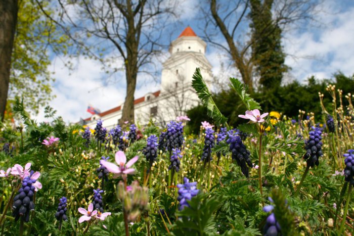 Ilustračný obrázok k článku Bratislava rozkvitla: Pozrite si FOTOREPORTÁŽ z parkov a záhrad hlavného mesta