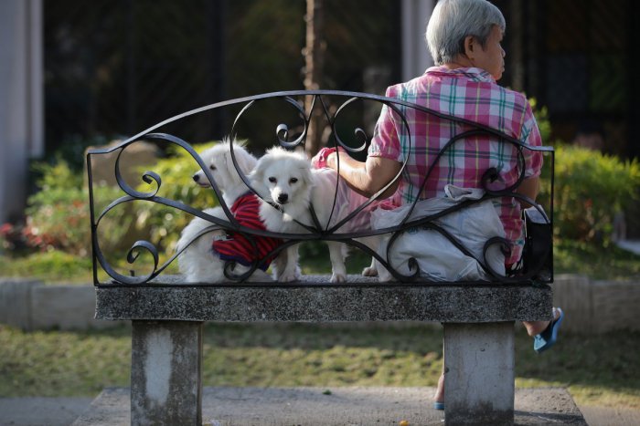 Ilustračný obrázok k článku V Rači si budete môcť oddýchnuť na vynovenom námestí