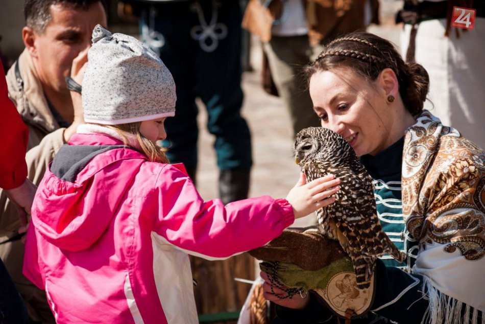 Ilustračný obrázok k článku Prehliadka so sokoliarmi a beseda Dvořákovcov na Zámku Vígľaš už tento víkend!