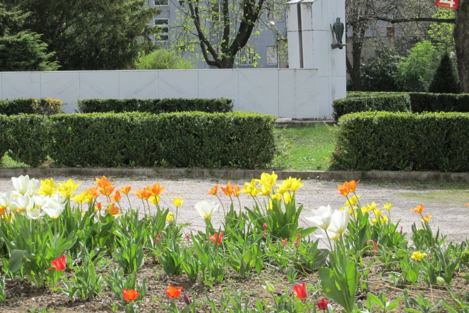 Ilustračný obrázok k článku Z čižiem rovno do plaviek? Zlatomoravčanka Ľubica sa pozrela na teplomer a nechápala, FOTO vnútri