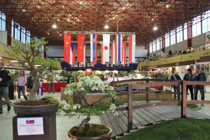 Ilustračný obrázok k článku Zmeny na nitrianskej výstave Gardenia: Bonsai Slovakia odmietol účasť