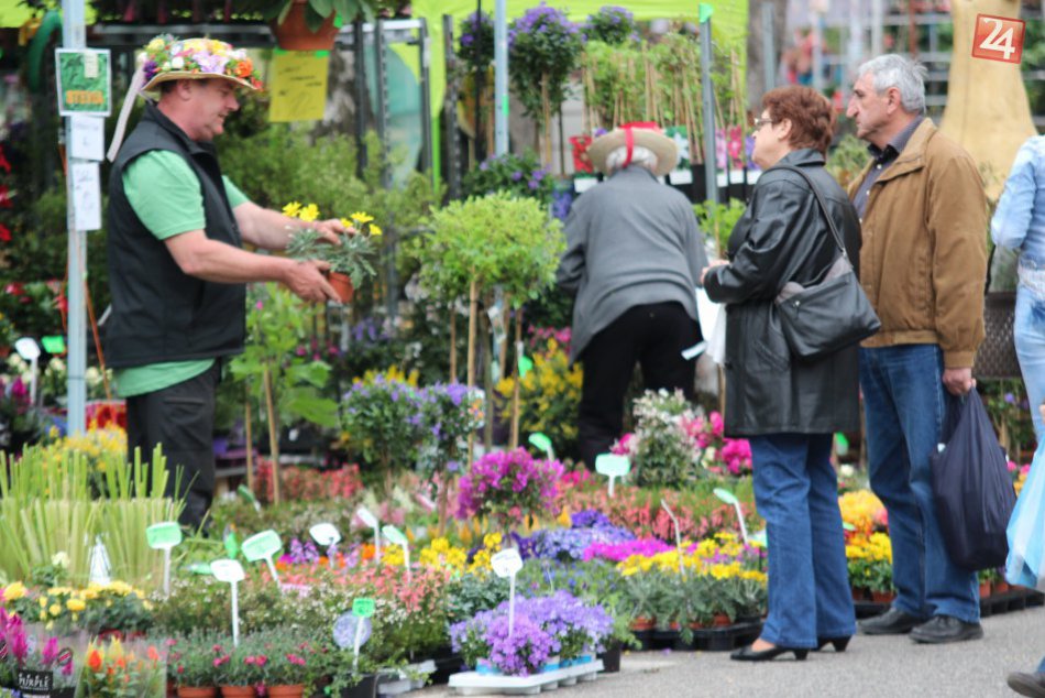 Ilustračný obrázok k článku Prvé jarné výstavy na Agrokomplexe sú minulosťou: Lákali hlavne milovníkov rastlín