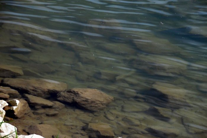 Ilustračný obrázok k článku V Humennom sa stala veľmi smutná udalosť: V Laborci prišiel o život mladík (†19)