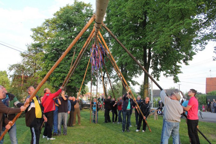 Ilustračný obrázok k článku Stavanie májov na Podpoľaní: Detvania ich postavia z lásky k ženám, aha čo sa chystá