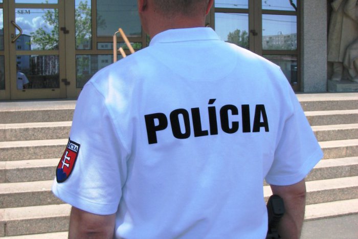 Ilustračný obrázok k článku Policajti v akcii vo Váhostave: Nové informácie o razii v známej firme!