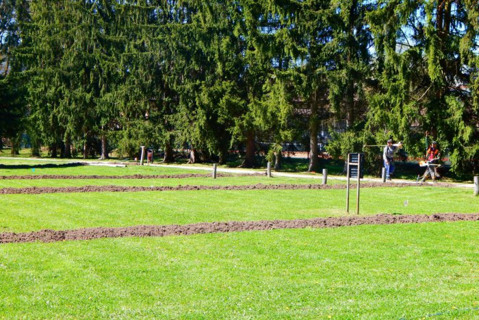 Ilustračný obrázok k článku Na výlet s dekou a piknikovým košom už aj v Žiari: Časť parku sa mení na piknikovú zónu! VIDEO