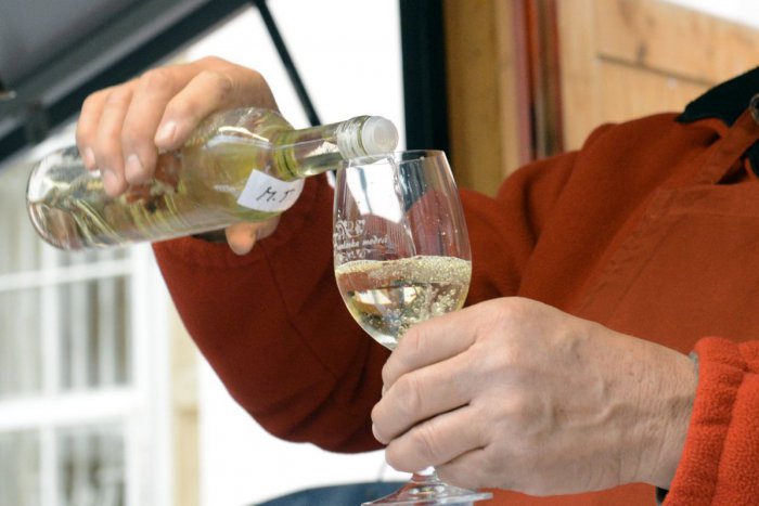 Ilustračný obrázok k článku O cenu Víno SPU súťažilo v Nitre 114 vzoriek vín: Porota vyzdvihla ich kvalitu