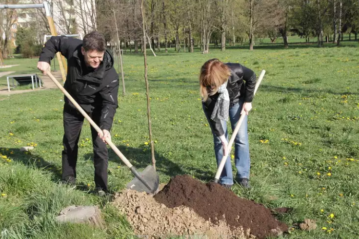 Ilustračný obrázok k článku Obyvatelia Čunova vysadili v Komunitnej záhrade desiatky mladých stromov