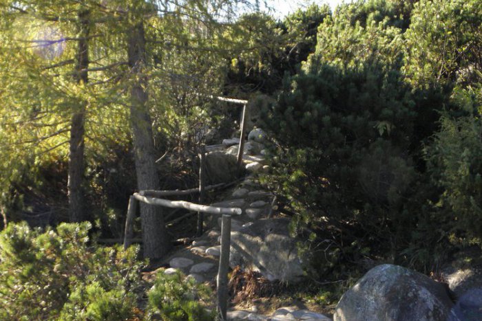 Ilustračný obrázok k článku Botanická záhrada po zime opäť otvára: Tešiť sa môžeme aj na zaujímavú novinku