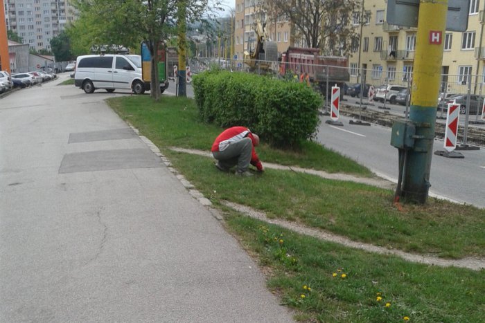 Ilustračný obrázok k článku Jedni na rekonštrukcie hromžia, druhí majú radosť: Košičan zrejme netušil, že naňho mieri objektív :)