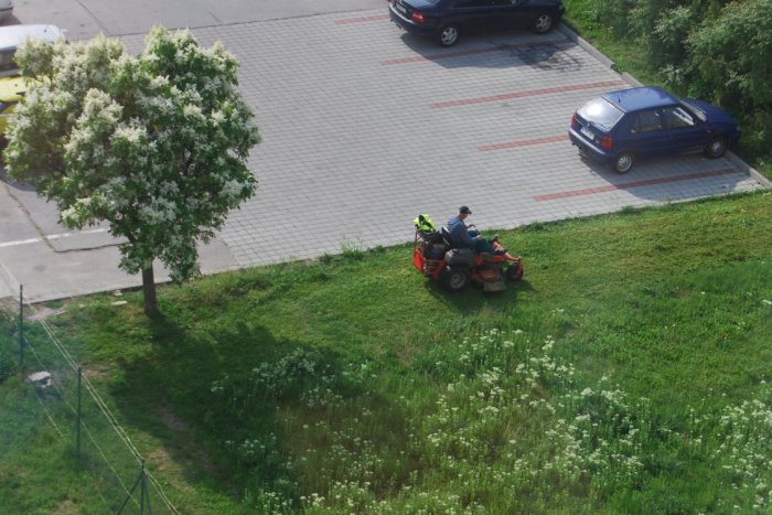 Ilustračný obrázok k článku Alergici šťastím bez seba: Mesto začalo s kosením, poznáme presný harmonogram!