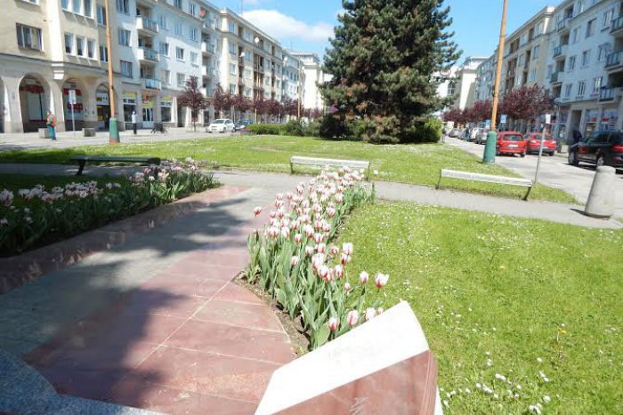 Ilustračný obrázok k článku Ulica, ktorej sa krásou vyrovná len máloktorá: Takúto nádheru môžete vidieť v Žiline