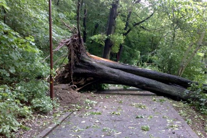 Ilustračný obrázok k článku Búrky zamestnali zlatomoraveckých hasičov: Prvomájka zatopená vodou, na Dlhej padol strom