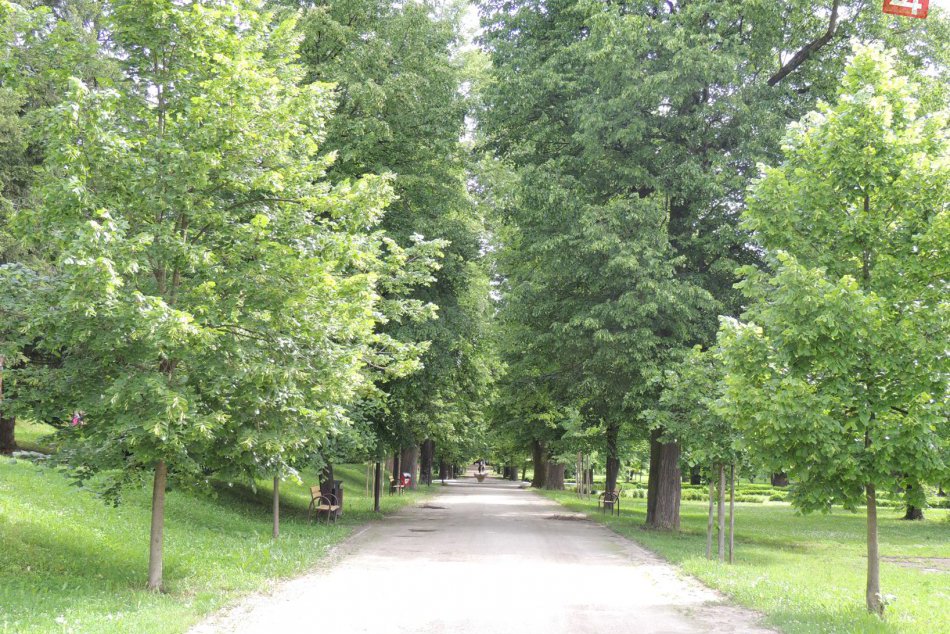 Ilustračný obrázok k článku Info, ktoré množstvo Popradčanov zaručene poteší: Pripravuje sa plocha pre centrálny mestský park!
