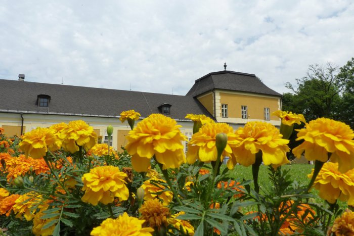 Ilustračný obrázok k článku Kaštieľ, v ktorom sa pestuje sociálny turizmus: Pozoruhodný areál na Spiši láka návštevníkov