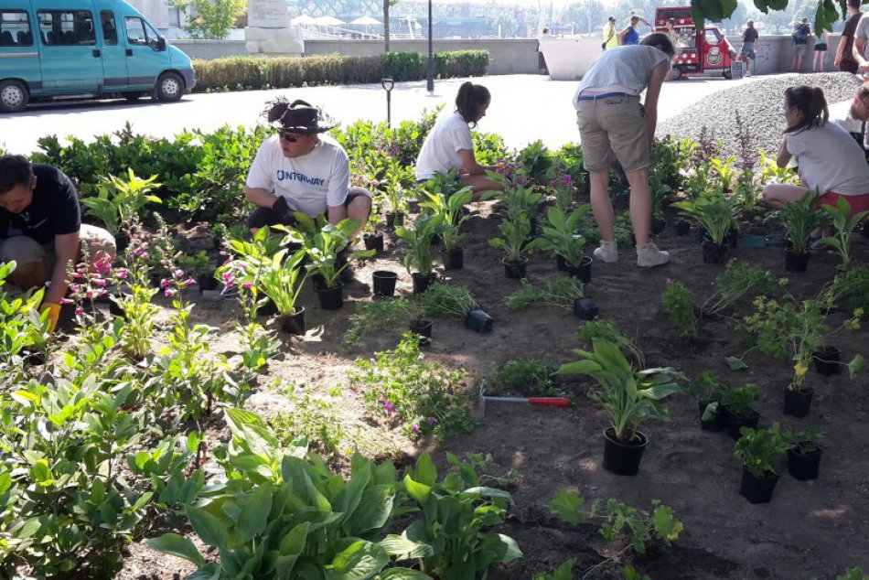 Ilustračný obrázok k článku Vrakuňa má nové stromy aj kríky. Vďaka obyvateľom a petícii